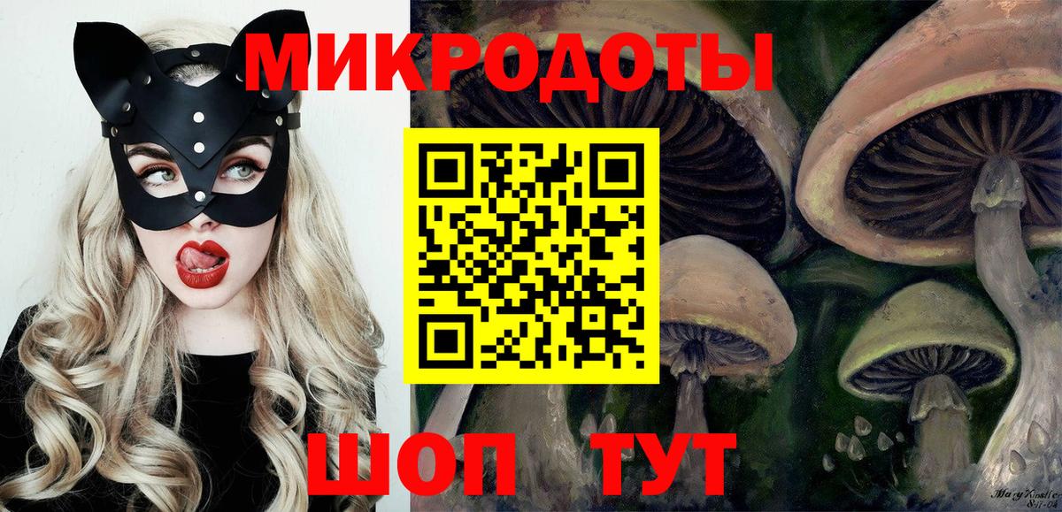 Псилоцибиновые грибы прущие грибы  как найти наркотики  Вход с VPN  Саранск  Псилоцибиновые грибы Cubensis 