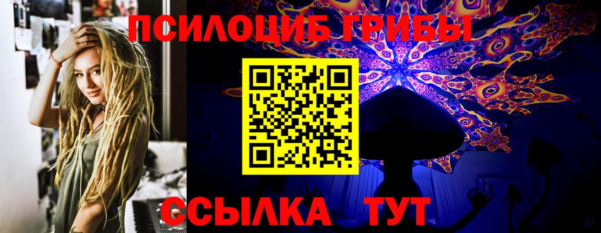 Галлюциногенные грибы Magic Shrooms Саранск
